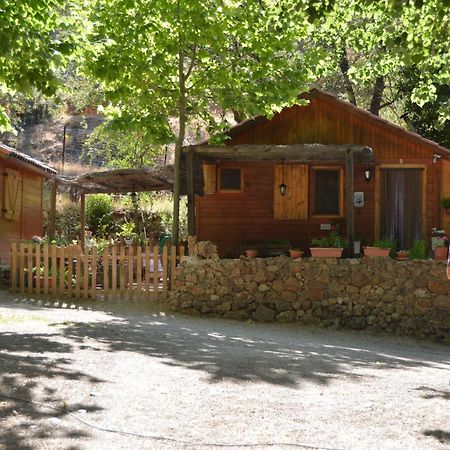 Cabanas Camping Sierra De Penascosa Exteriör bild